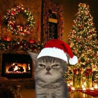 yagirlyloveschristmasss