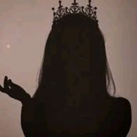 fan__siilawy2