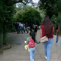 sariisgtz