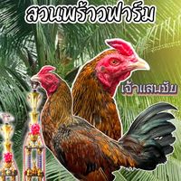 user5563601692366
