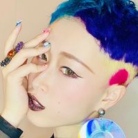 akishorthair
