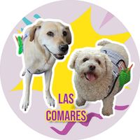 lascomares