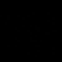 dima_19c