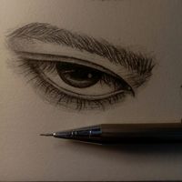 yowesdraw