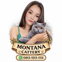 cici.meong_