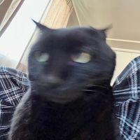 オリジナル楽曲 - nuortu