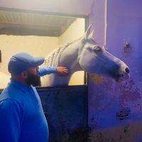 mostafahoumani425
