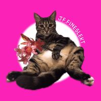 meoww_cattt