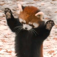 original sound - crazγ peaople