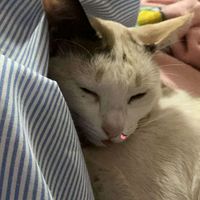 เสียงต้นฉบับ - น้ําเพชรมั้ง🤭