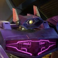 shockwave.xp4
