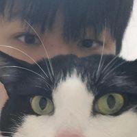 imdongd5ng