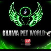 petworld2008