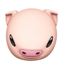 original sound - sstaar02