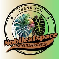 nobi_leafspace5