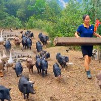 âm thanh gốc - triệu thị xiên hạt dổi