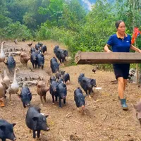 original sound - trieuthixien20