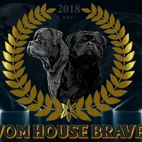 vom_house_brave