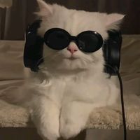 original sound - Jay'x