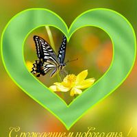 user4691060769713