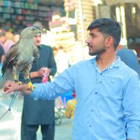 tayyab.jutt_786