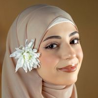 shahed.hamdouni
