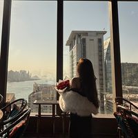 lifeof_yz