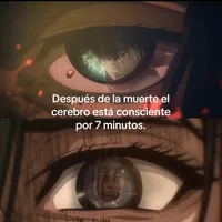 original sound - estefanilima09