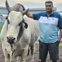krishnan8890