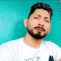 franciscogaiola139