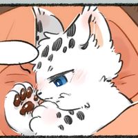 zun_coffee