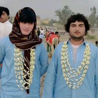 bewafaguli