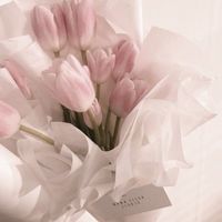 オリジナル楽曲 - むー/リクエスト停止中🙌🏻🙇‍♀️