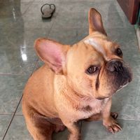 เสียงต้นฉบับ - wiwee