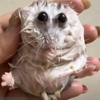 เสียงต้นฉบับ - น้องงงงน่ารักอ่ะ