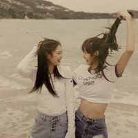 melypp.soft
