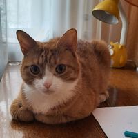 yanochka_milashka.07.14