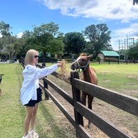 nhạc nền - Ngô Linh Trang