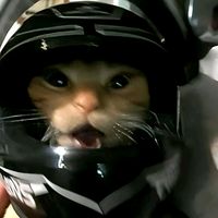 suara asli - Z4kkk☆♡.TXC