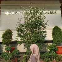 suara asli