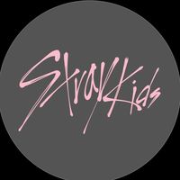 stray_kids3456