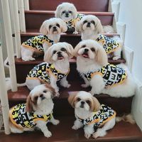 เสียงต้นฉบับ - 🏡บ้านแปะก๊วย🐶