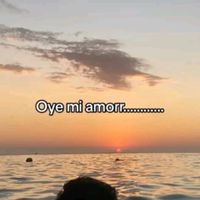 meza_037