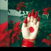 nasrin_akter_5745