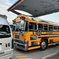 buseshn19