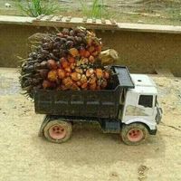 bunyi asal - disO_Mr’BaRBaRiK