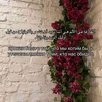 yuldaso01