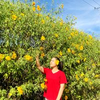 original sound - 💫Nang Cho💫