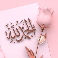 rufa845