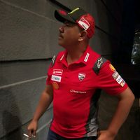 maelavintia